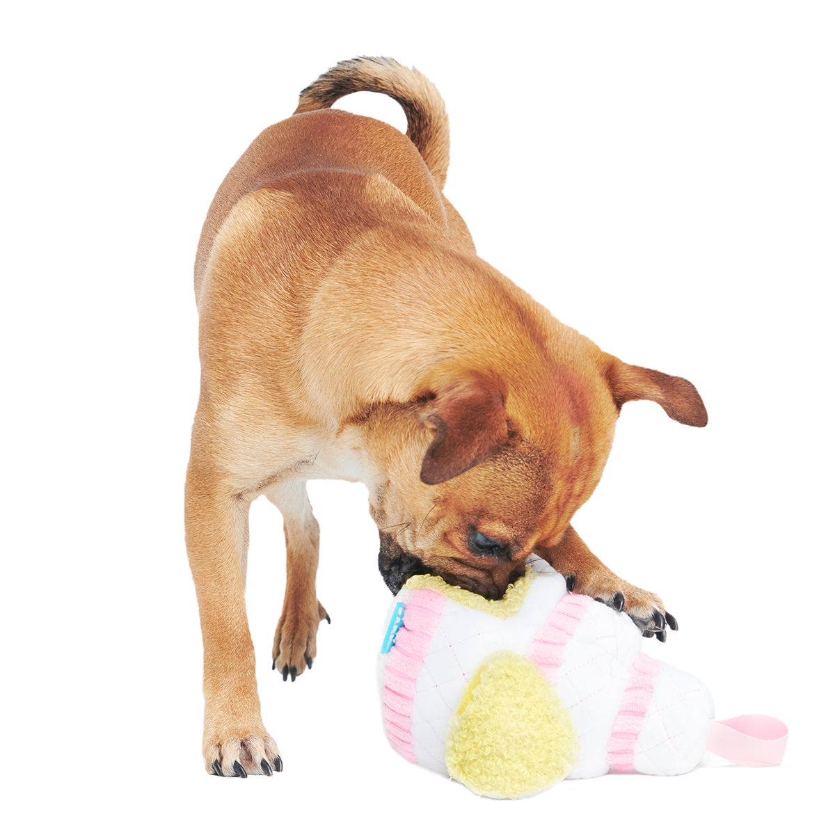 Holy Ratrimony Plush Multi-Part + Enrichment Dog Toy - Image 5