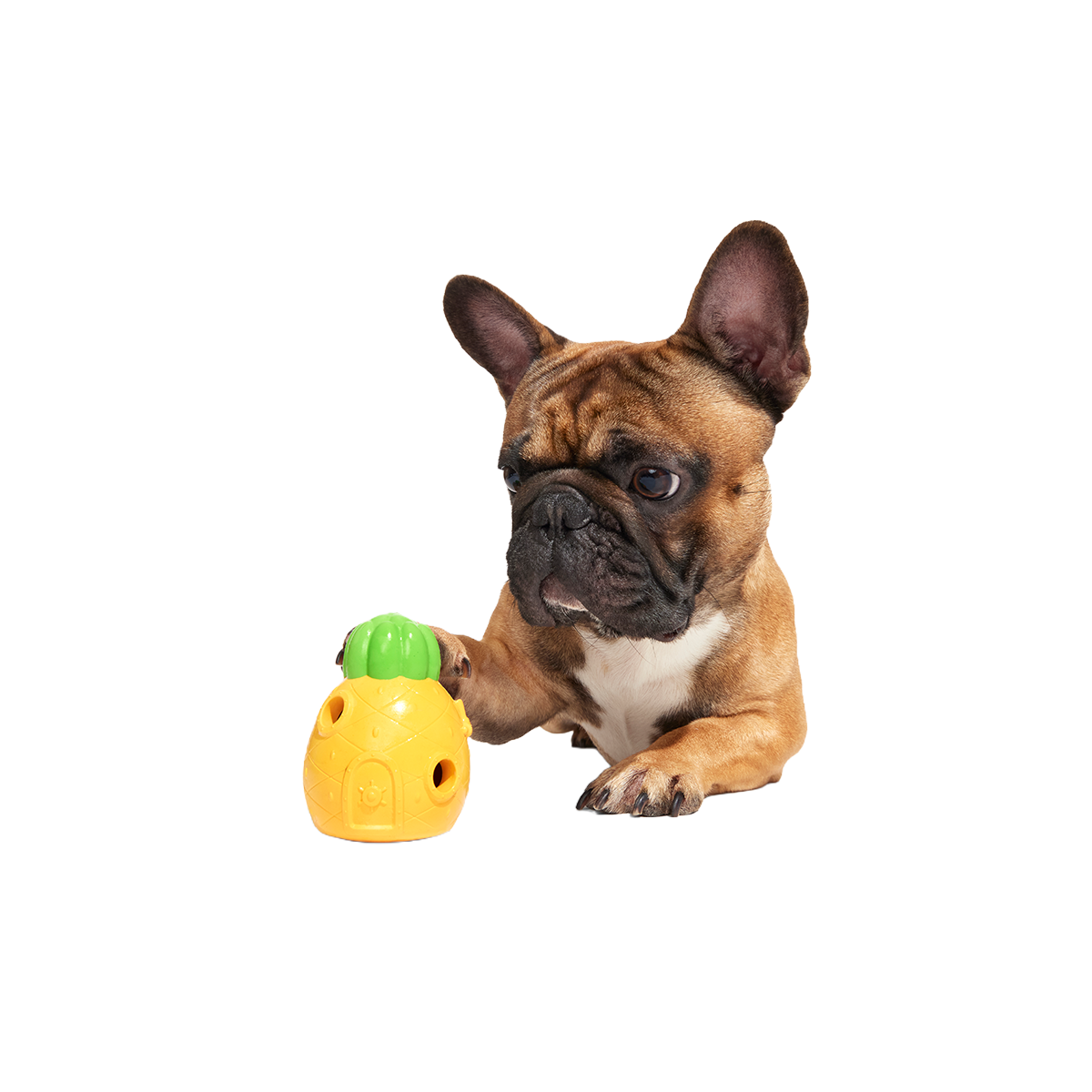 Home Sweet Pineapple Super Chewer Durable Enrichment Dog Toy - Image 3