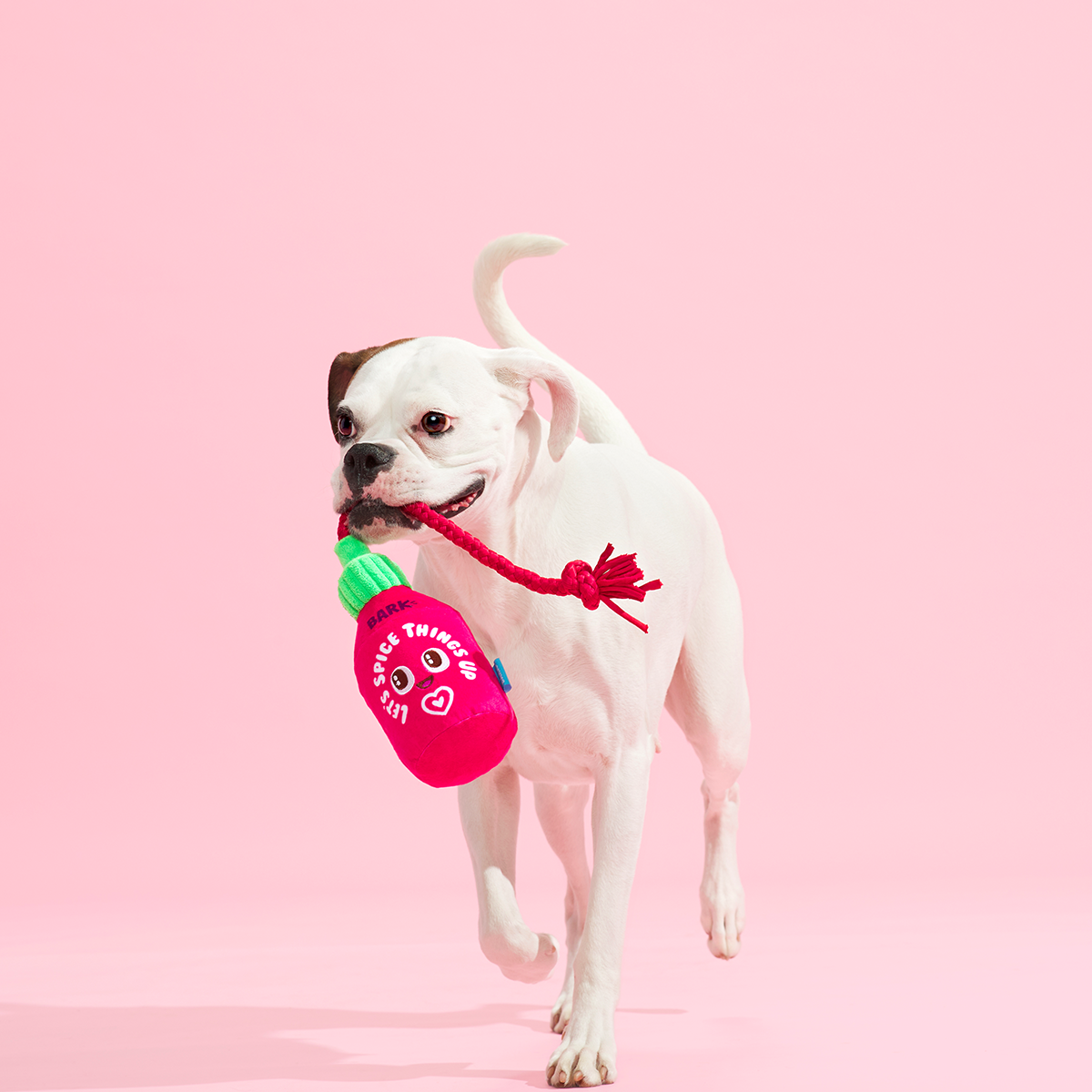 Hot Stuff Plush Tug Dog Toy - Image 3