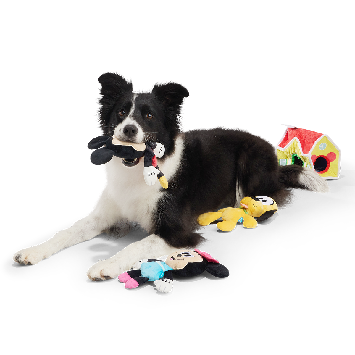 House of Mouse Plush Multi-Part + Enrichment Dog Toy - Image 2