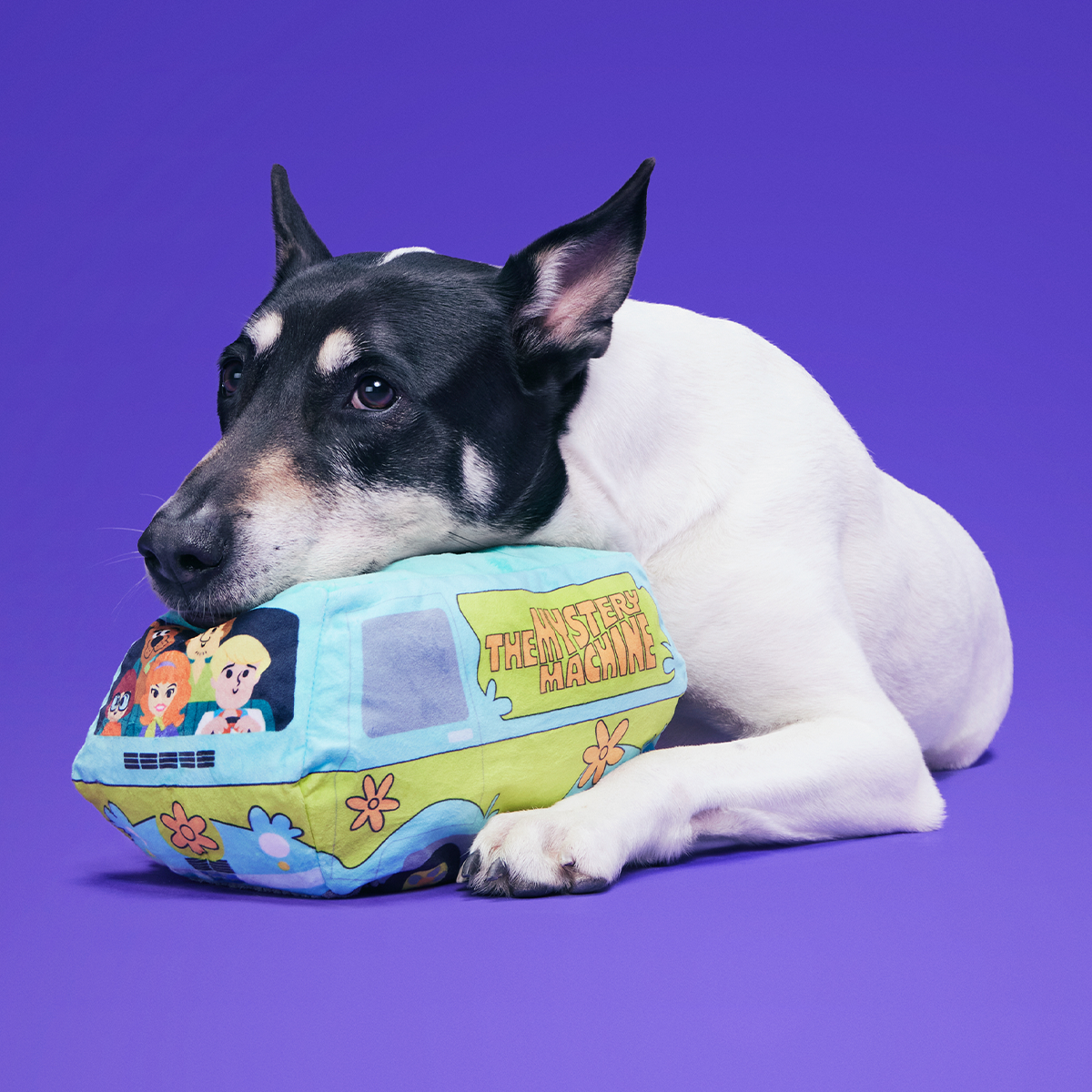 Howloween Mystery Machine™ Plush Extra-Large Dog Toy - Image 2