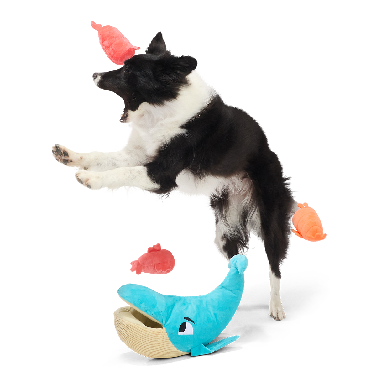 Hungry Hungry Humpback Plush Extra-Large + Multi-Part + Enrichment Dog Toy - Image 3