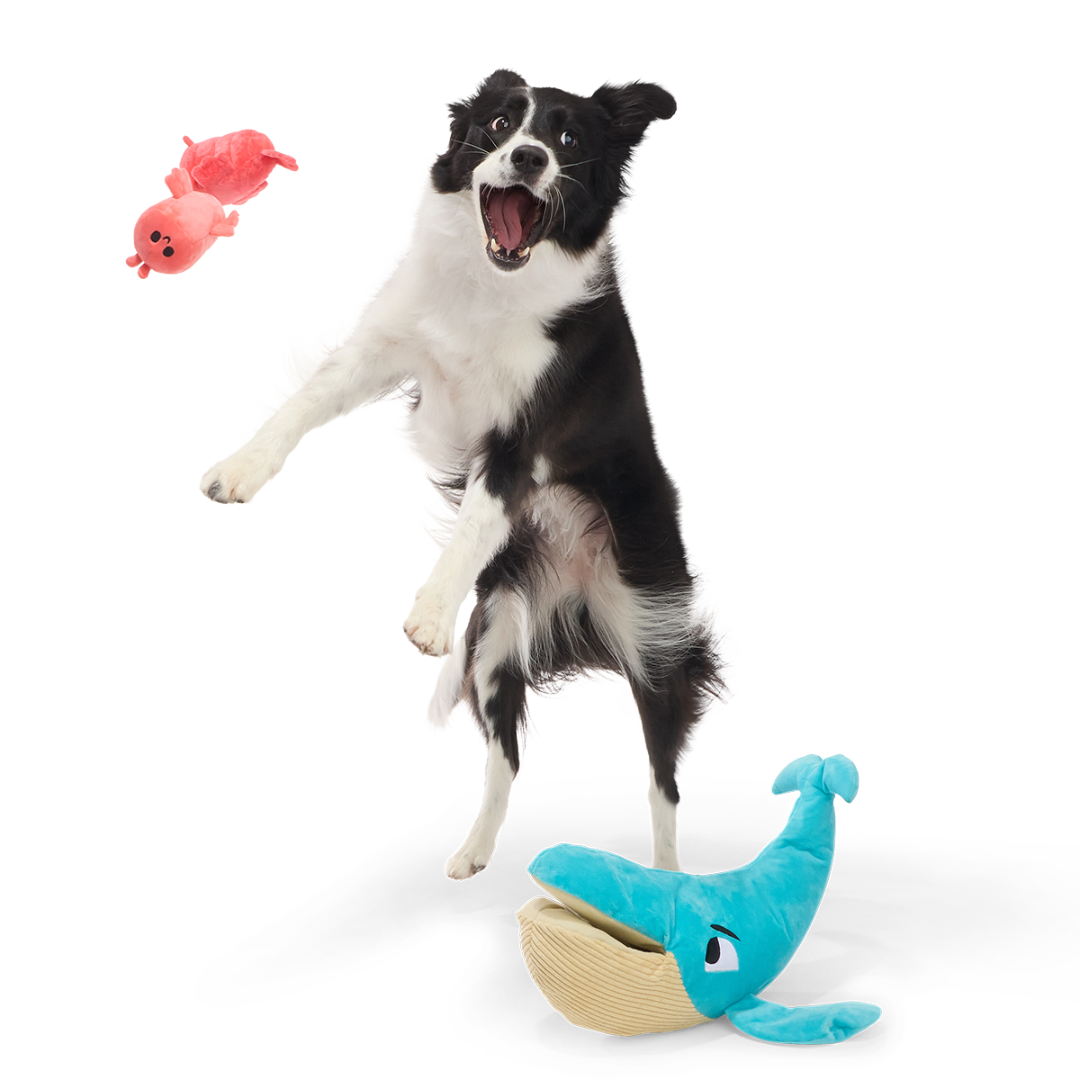 Hungry Hungry Humpback Plush Extra-Large + Multi-Part + Enrichment Dog Toy - Image 2