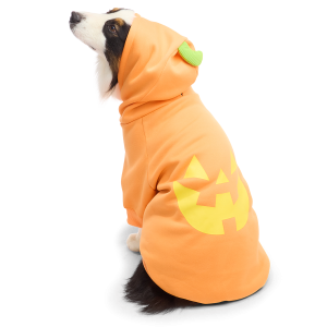 Jack O'Lantern Dog Hoodie