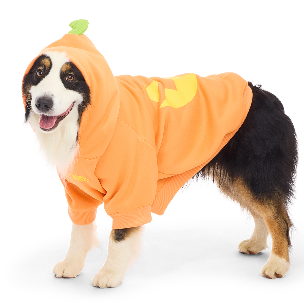 Jack O'Lantern Dog Hoodie - Image 3