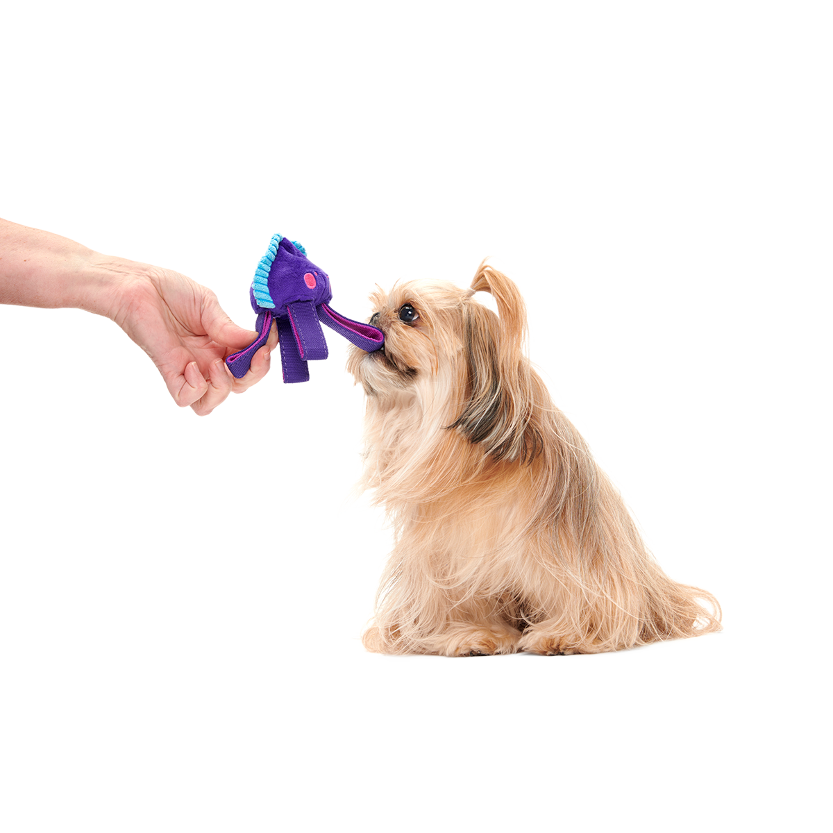 Karen Kraken Super Chewer Durable 2-in-1 + Tug Dog Toy - Image 2