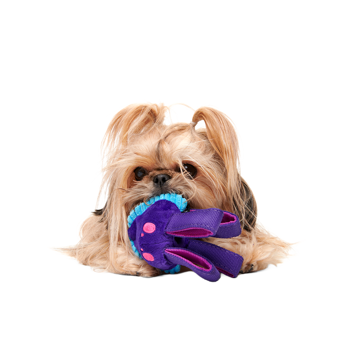 Karen Kraken Super Chewer Durable 2-in-1 + Tug Dog Toy - Image 3