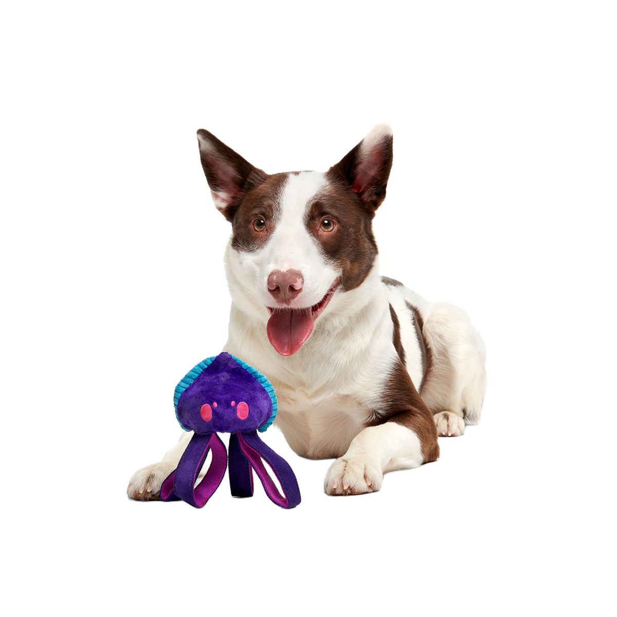 Karen Kraken Super Chewer Durable 2-in-1 + Tug Dog Toy - Image 4