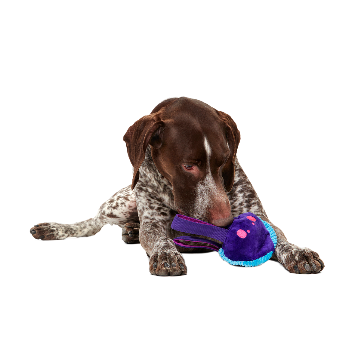 Karen Kraken Super Chewer Durable 2-in-1 + Tug Dog Toy - Image 6