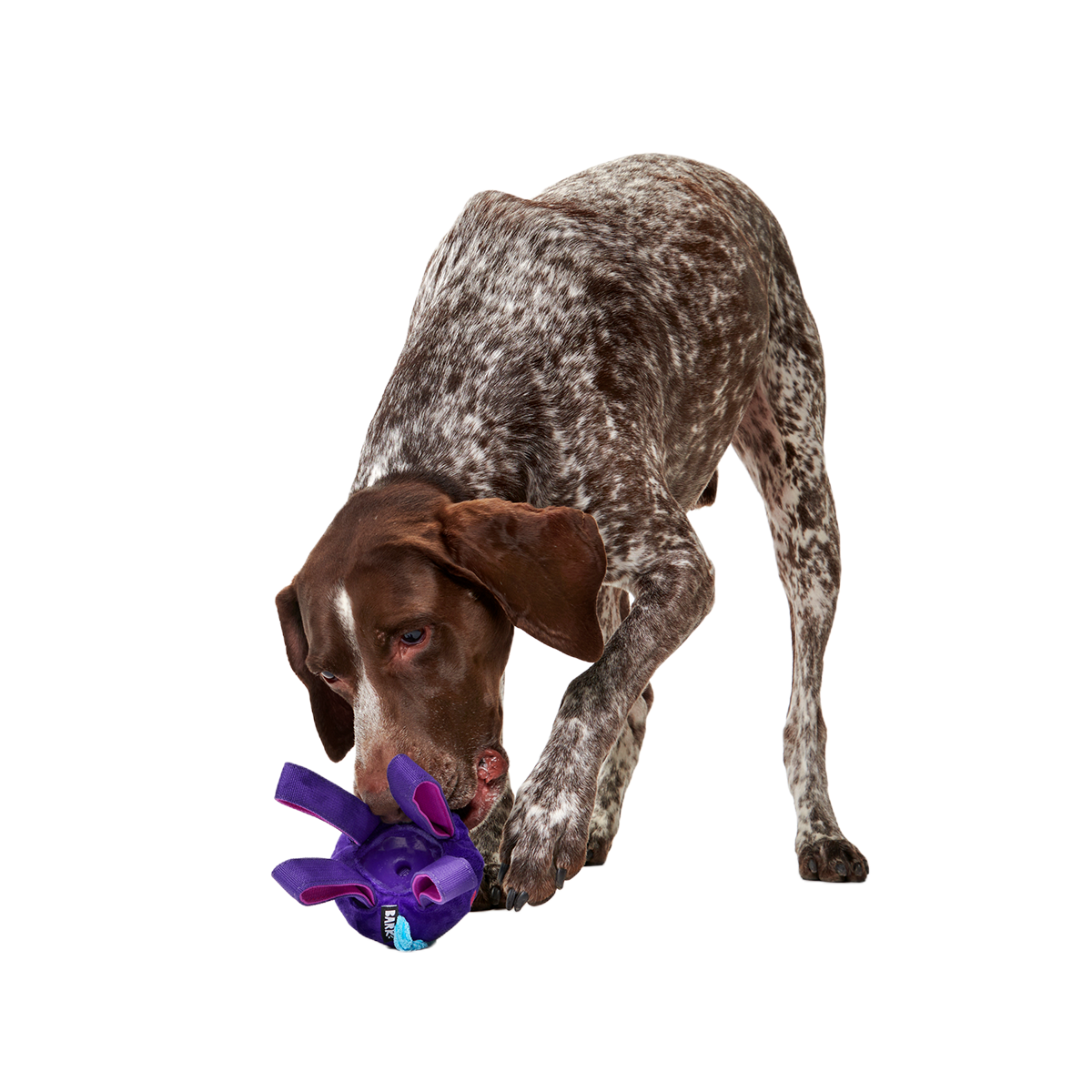 Karen Kraken Super Chewer Durable 2-in-1 + Tug Dog Toy - Image 5