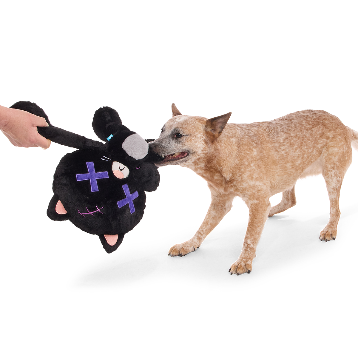 Kolossal Klaus Plush Extra-Large + Tug Dog Toy - Image 3