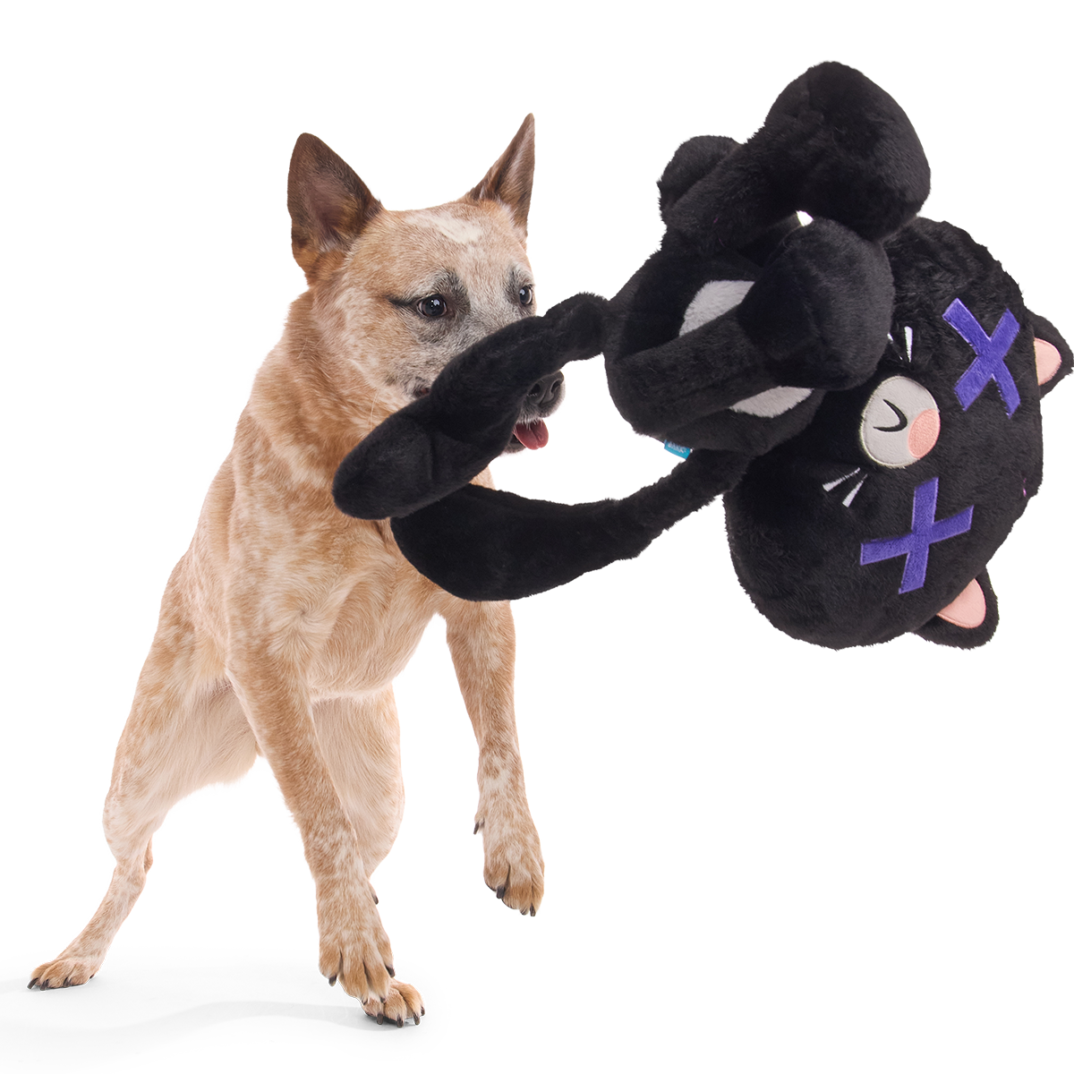 Kolossal Klaus Plush Extra-Large + Tug Dog Toy - Image 5