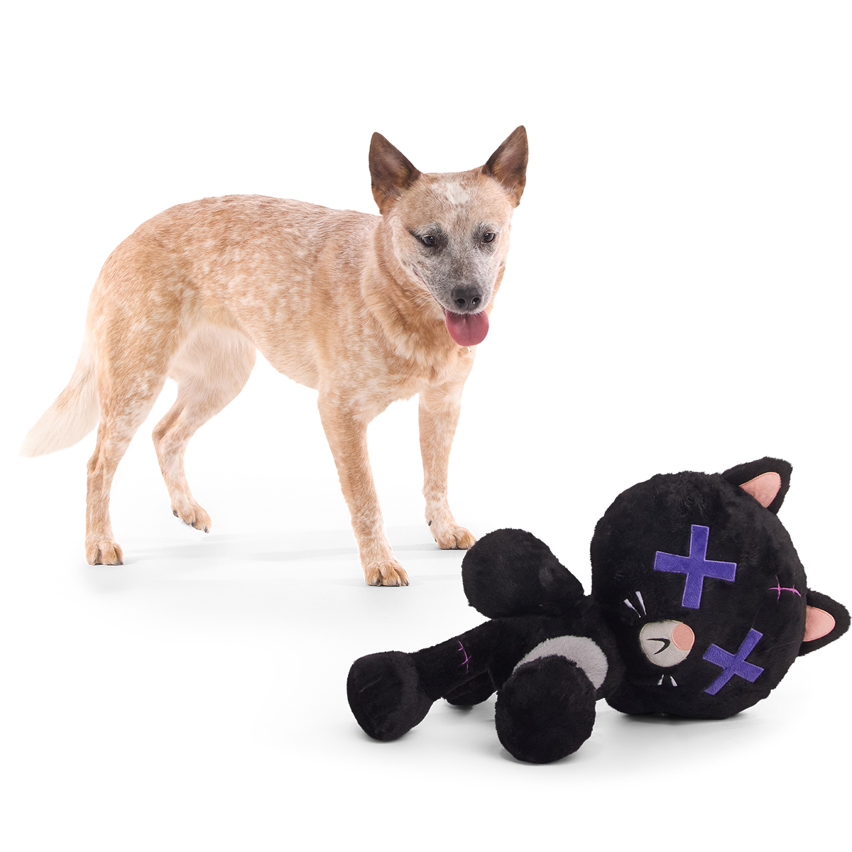 Kolossal Klaus Plush Extra-Large + Tug Dog Toy - Image 4