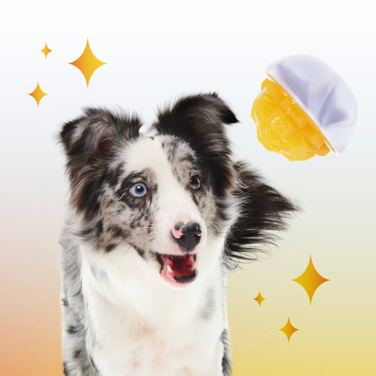 Crystal of the Month Club. Super Chewer Durable Monthly Dog Toys - Image 2