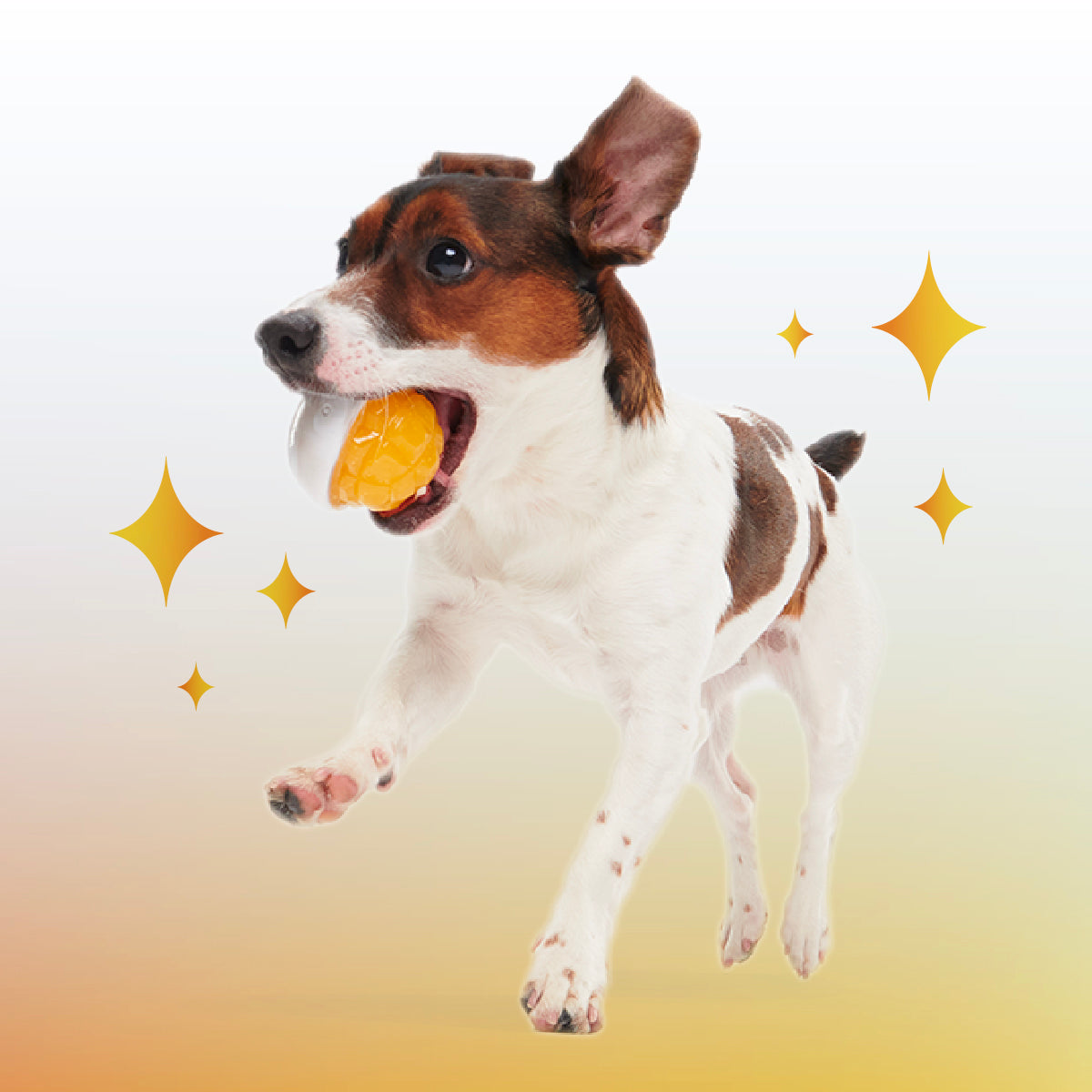 Crystal of the Month Club. Super Chewer Durable Monthly Dog Toys - Image 4