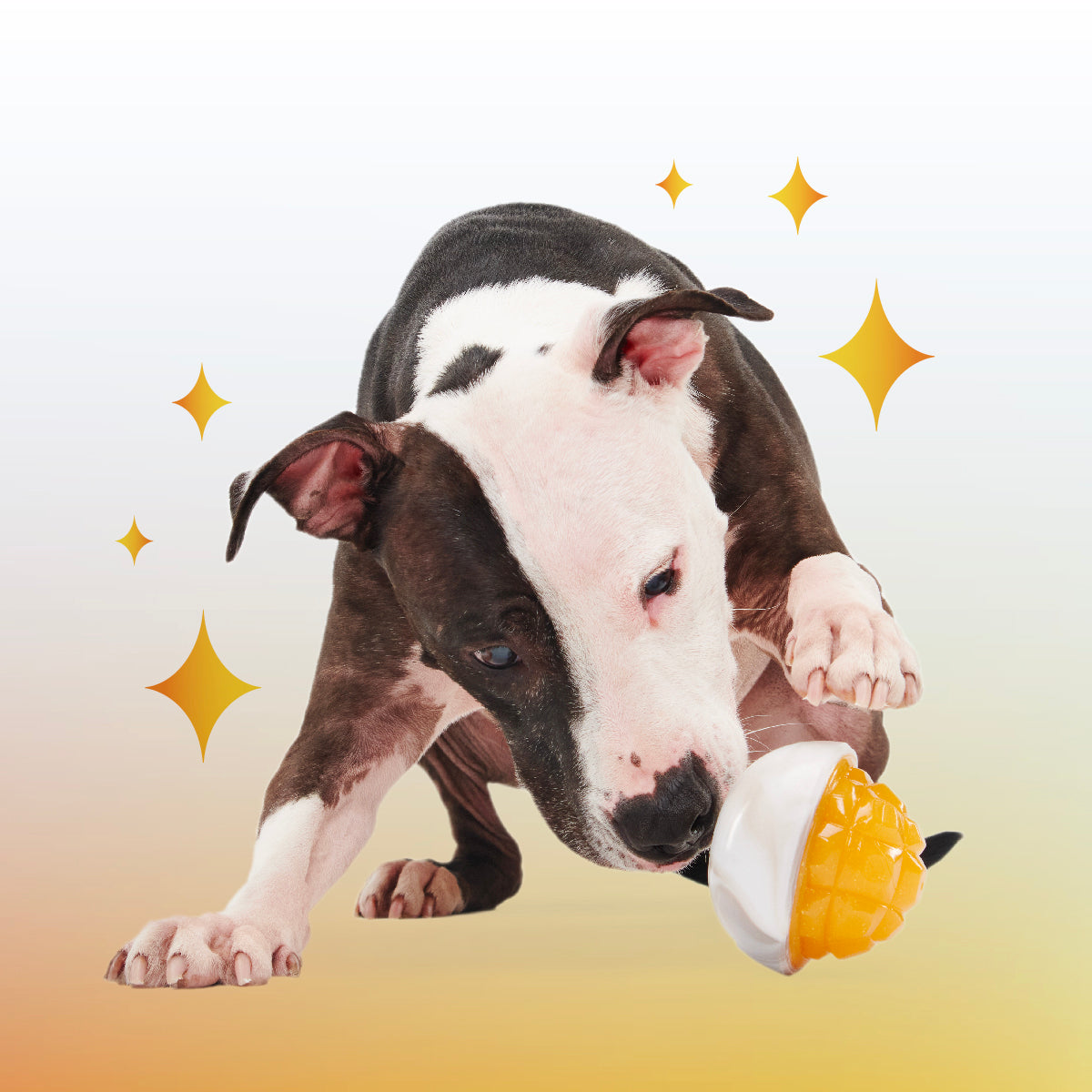 Crystal of the Month Club. Super Chewer Durable Monthly Dog Toys - Image 5
