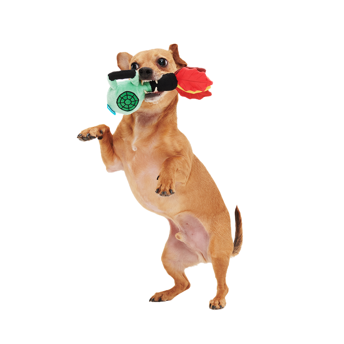 Leaf Blow-Wower Plush Tug Dog Toy - Image 3
