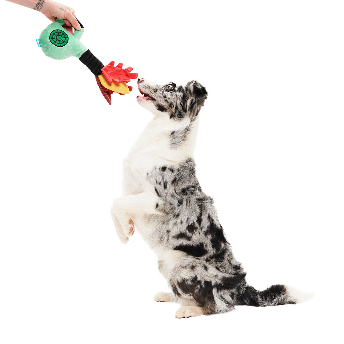 Leaf Blow-Wower Plush Tug Dog Toy - Image 4