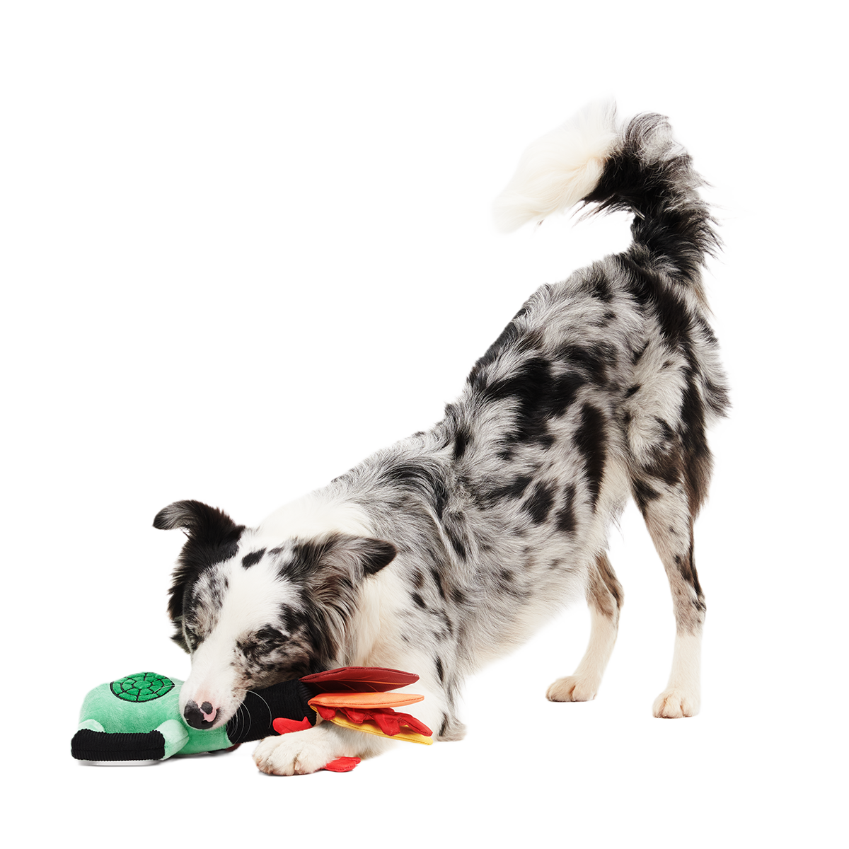 Leaf Blow-Wower Plush Tug Dog Toy - Image 5