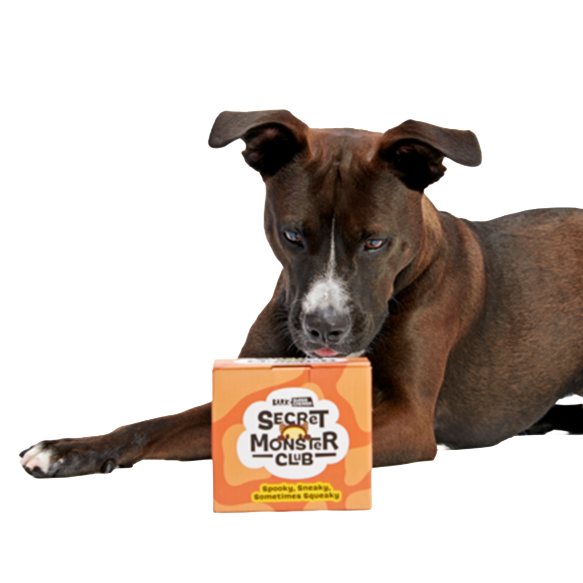 Secret Monster Club. Super Chewer Durable 2-in-1 Rip and Reveal Monthly Dog Toys - Image 2