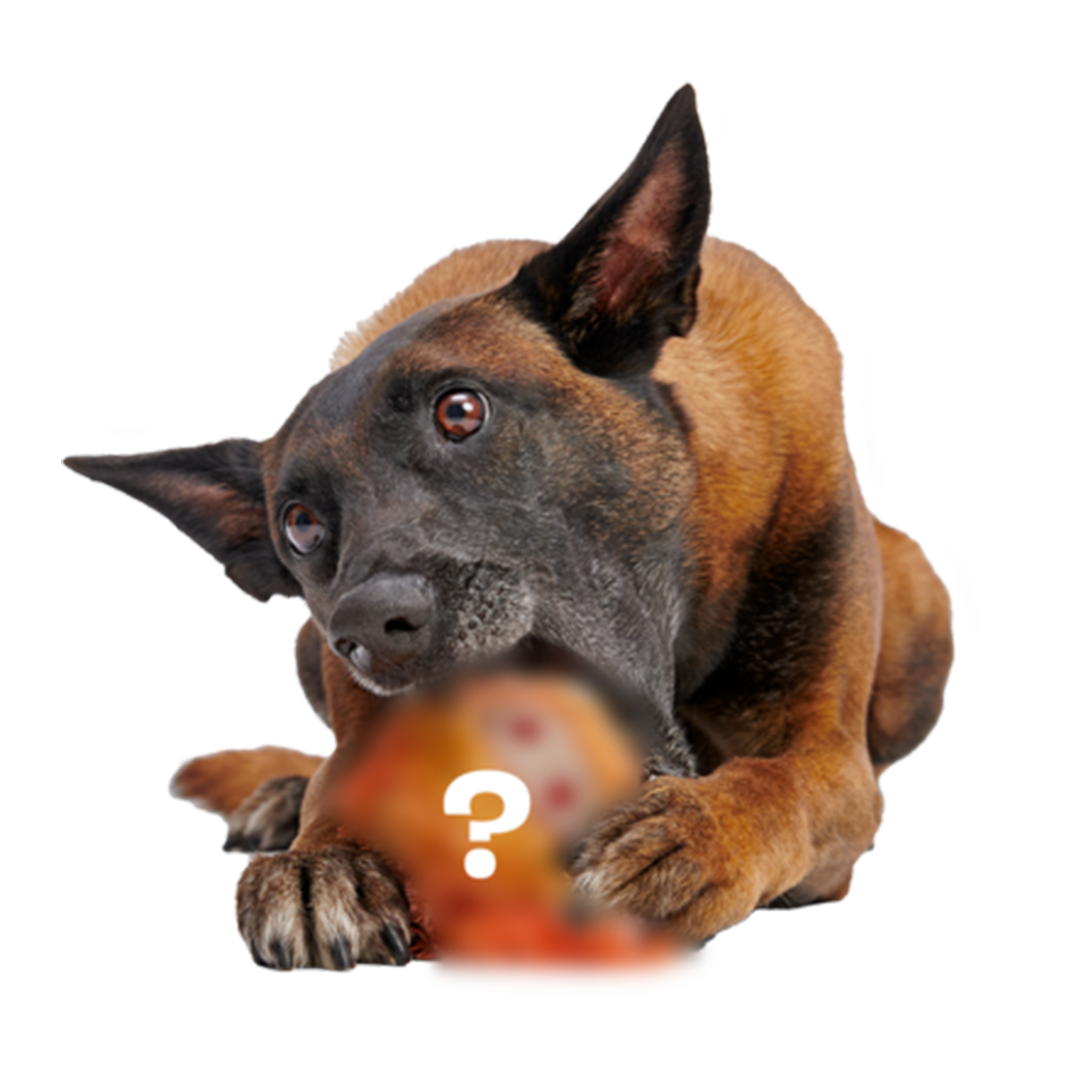 Secret Monster Club. Super Chewer Durable 2-in-1 Rip and Reveal Monthly Dog Toys - Image 3