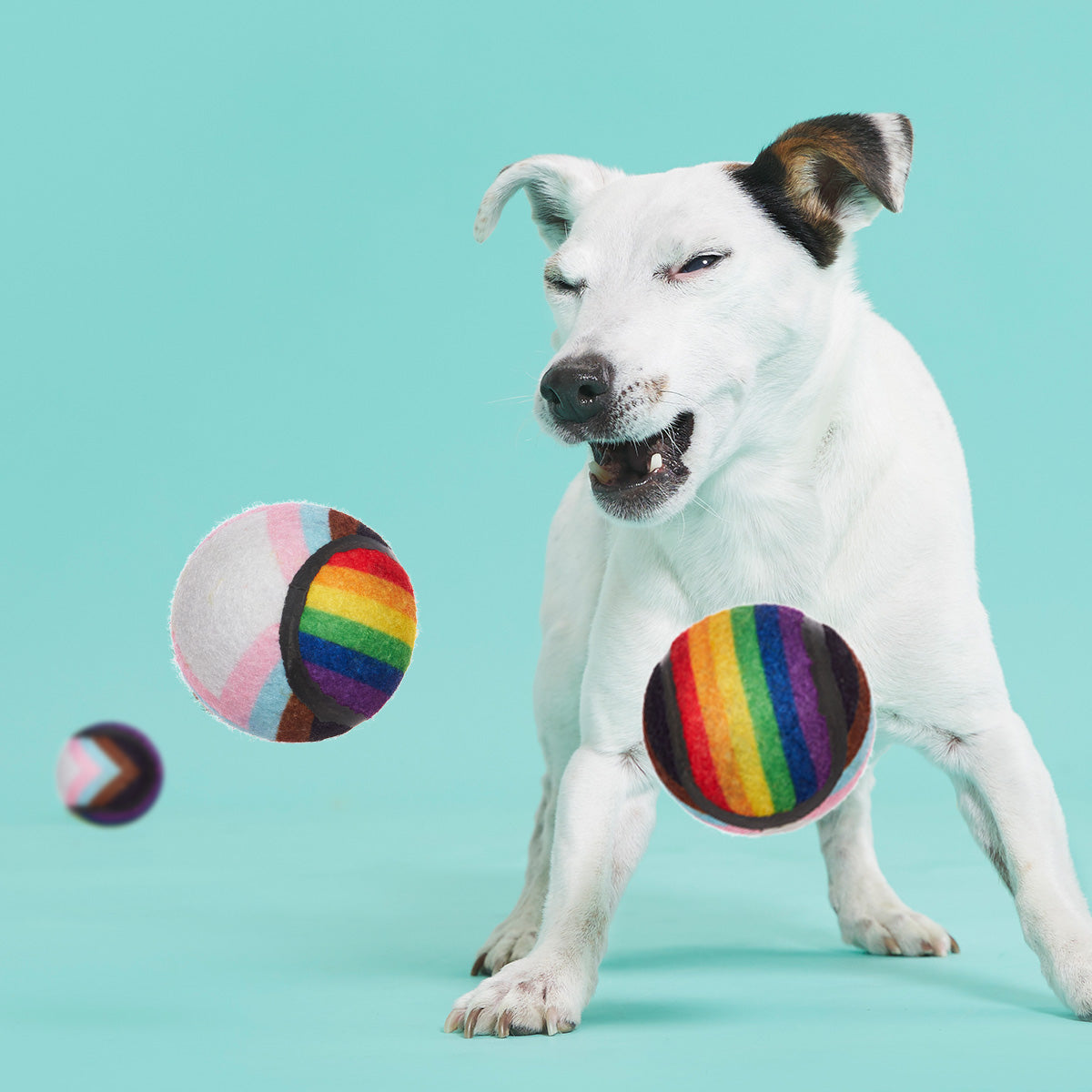 Fetch is Fetch Plush Multi-Part Dog Toy - Image 4