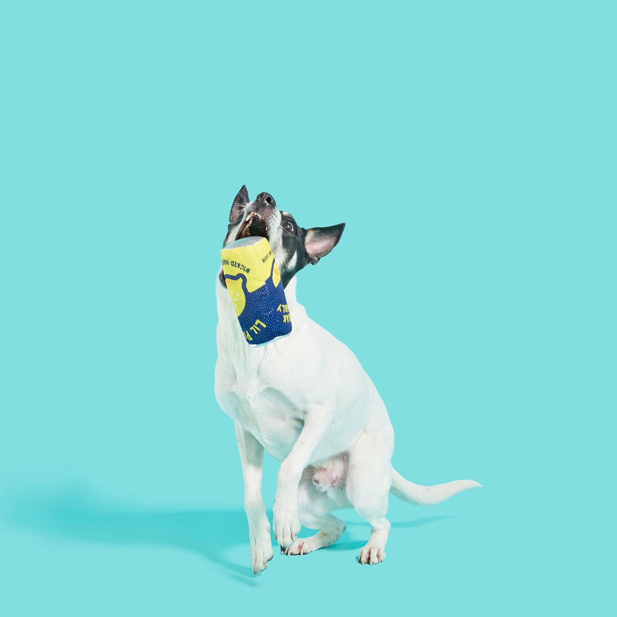 Lil' Pucker's Plush Dog Toy - Image 4