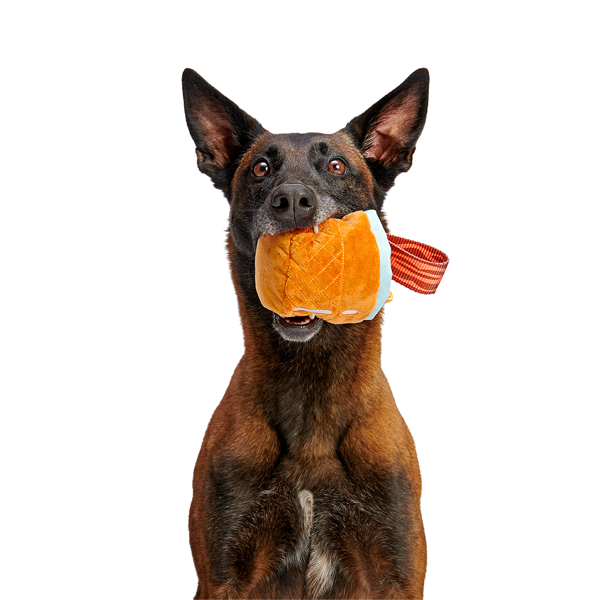 Cocktail Club. Plush Cocktail Monthly Dog Toys - Image 6