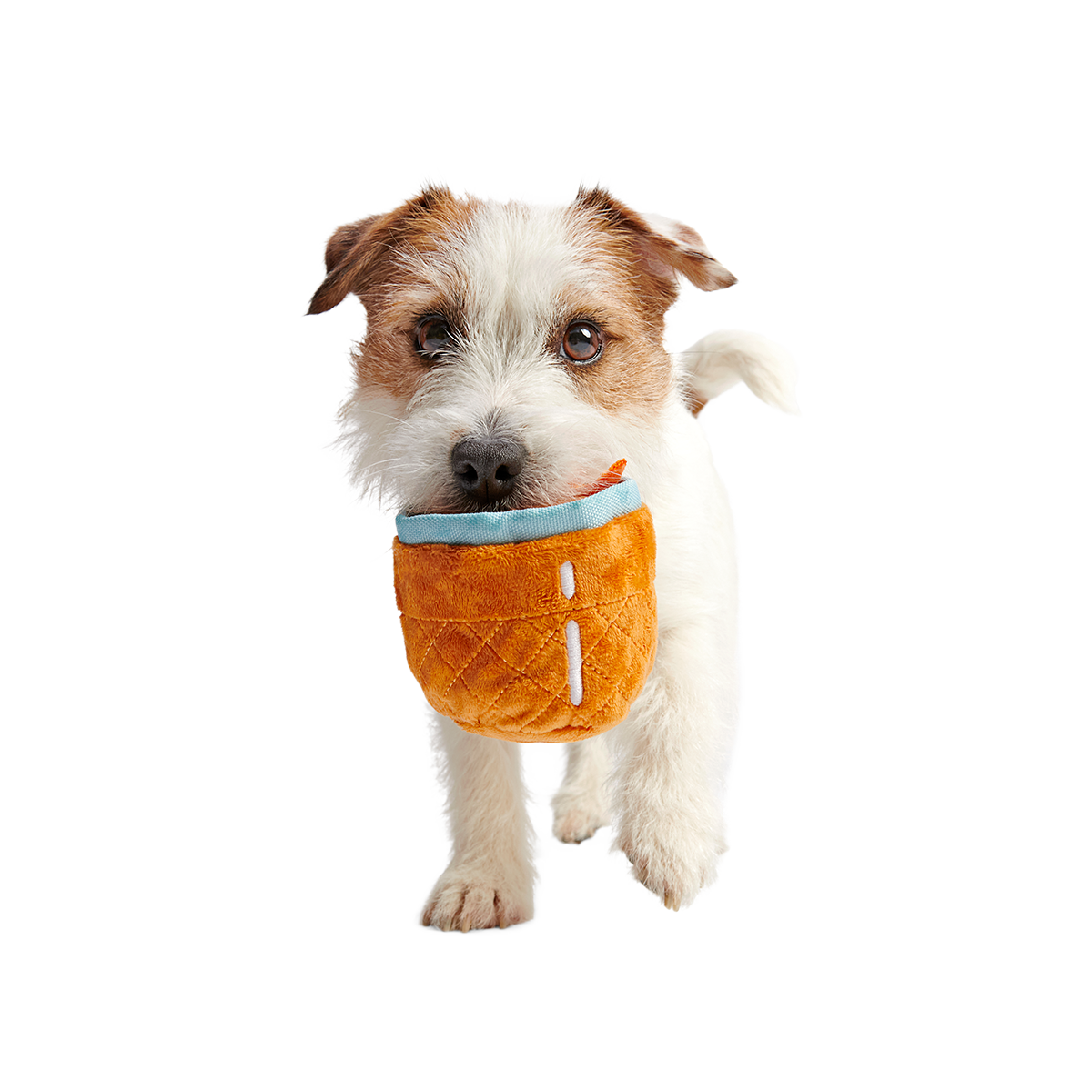 Cocktail Club. Plush Cocktail Monthly Dog Toys - Image 3
