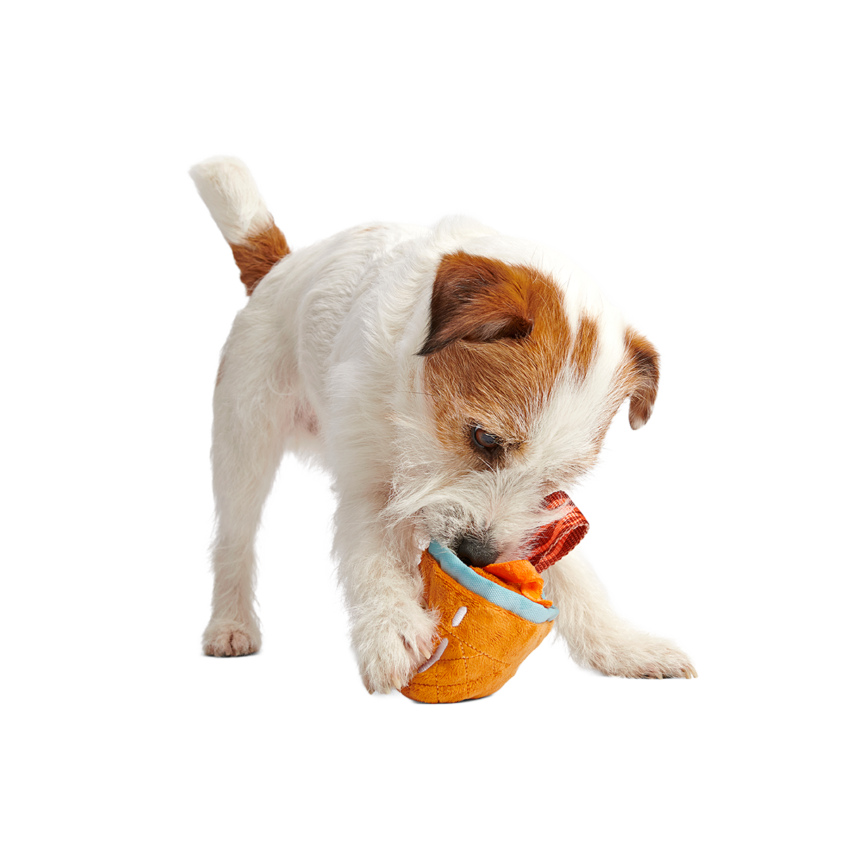 Cocktail Club. Plush Cocktail Monthly Dog Toys - Image 2
