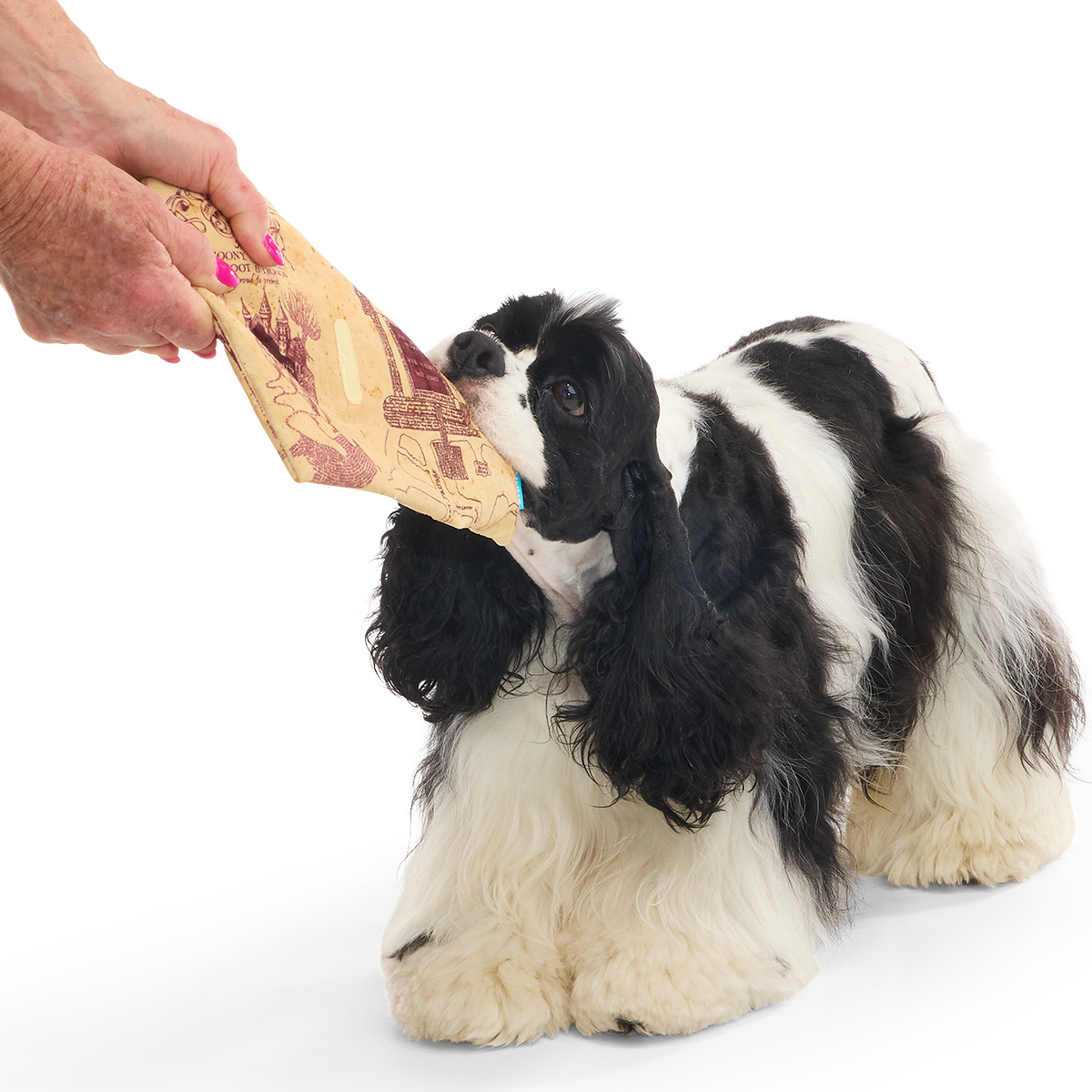 Marauder's Map™ Plush Tug Dog Toy - Image 3