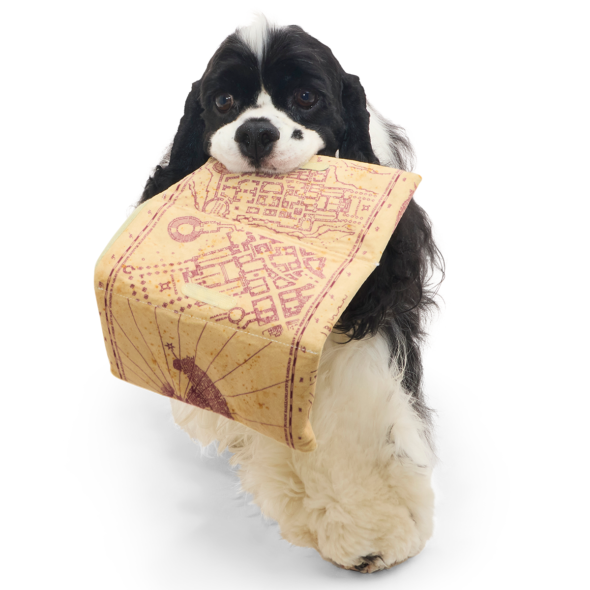 Marauder's Map™ Plush Tug Dog Toy - Image 4