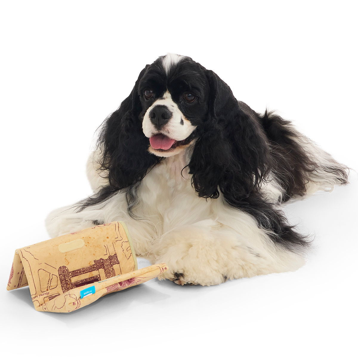 Marauder's Map™ Plush Tug Dog Toy - Image 5