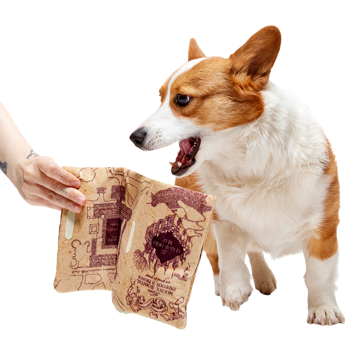 Marauder's Map™ Plush Tug Dog Toy - Image 7
