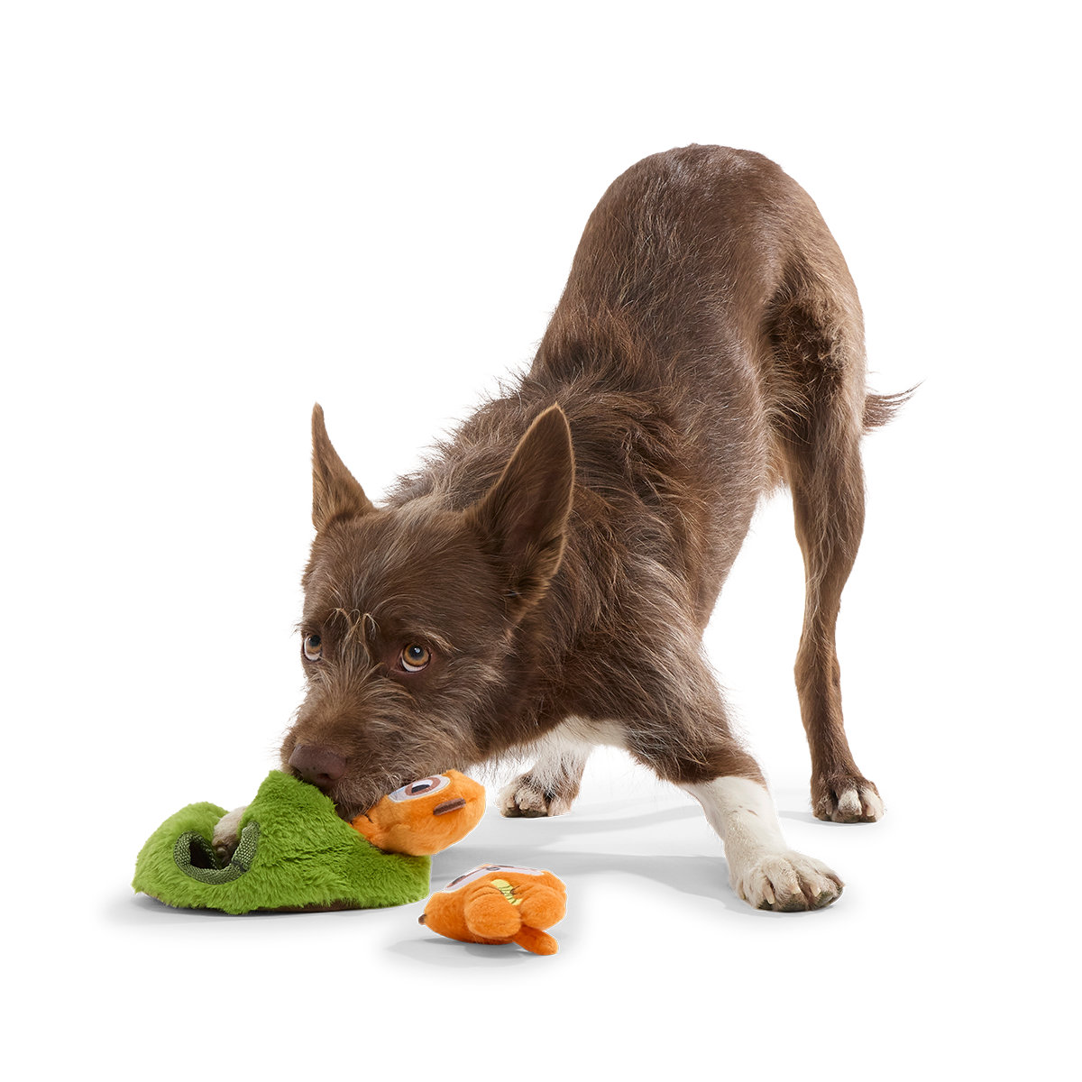 Mchanga & Mwanga Meerkat Plush Multi-Part + Enrichment Dog Toy - Image 2