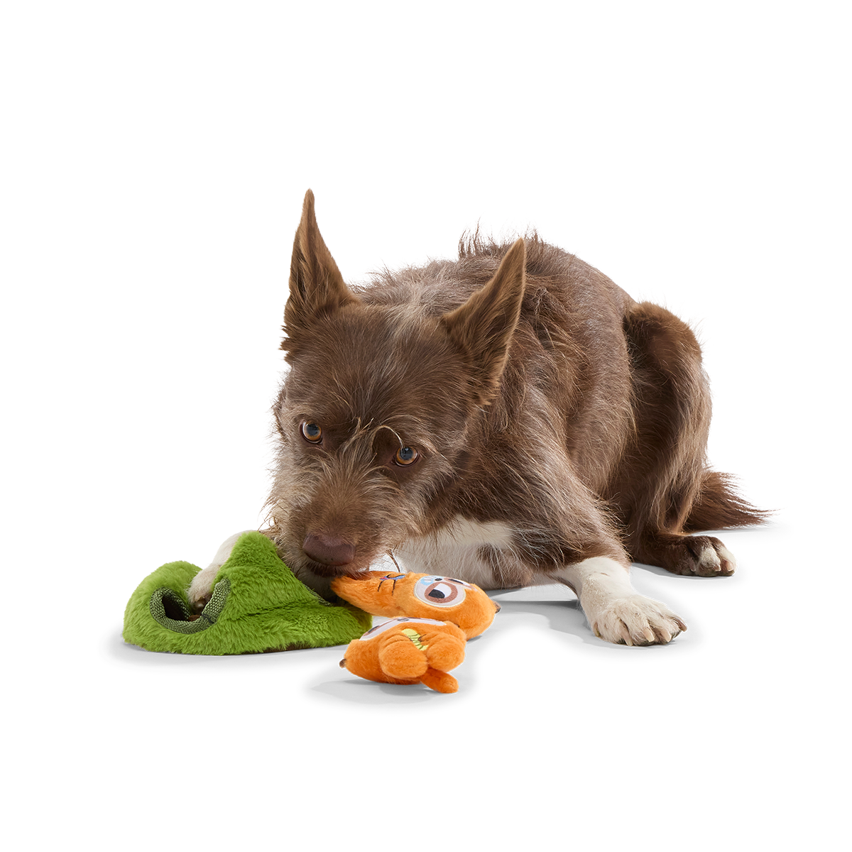 Mchanga & Mwanga Meerkat Plush Multi-Part + Enrichment Dog Toy - Image 4