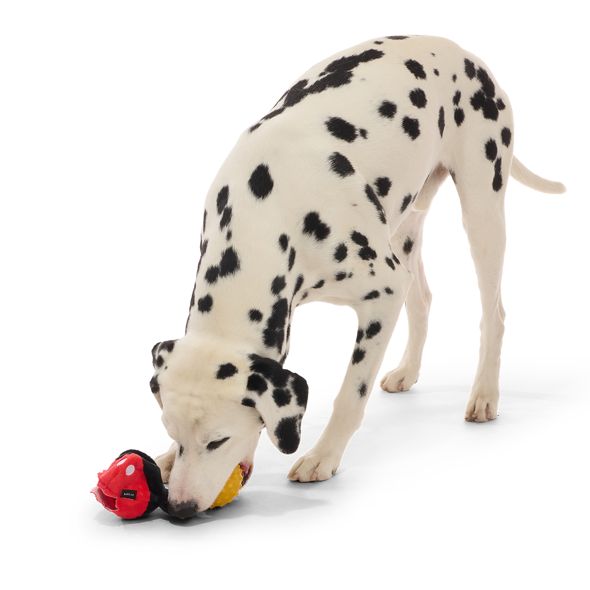 Mickey Mouse Ball Super Chewer Durable 2-in-1 + Fetch Dog Toy - Image 6