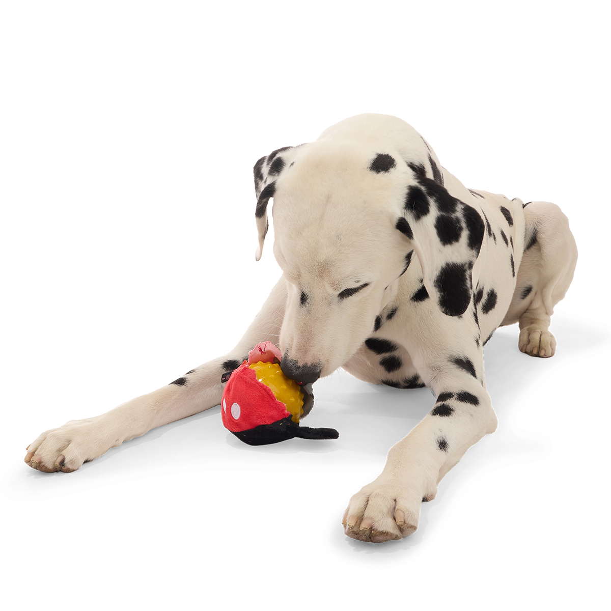 Mickey Mouse Ball Super Chewer Durable 2-in-1 + Fetch Dog Toy - Image 2