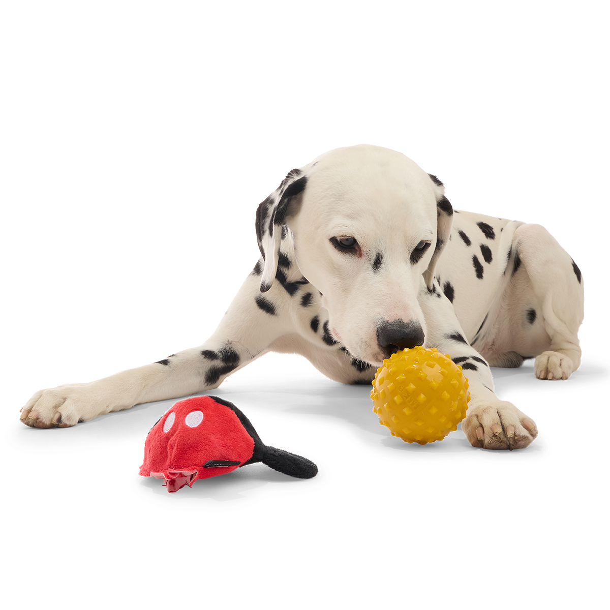 Mickey Mouse Ball Super Chewer Durable 2-in-1 + Fetch Dog Toy - Image 3