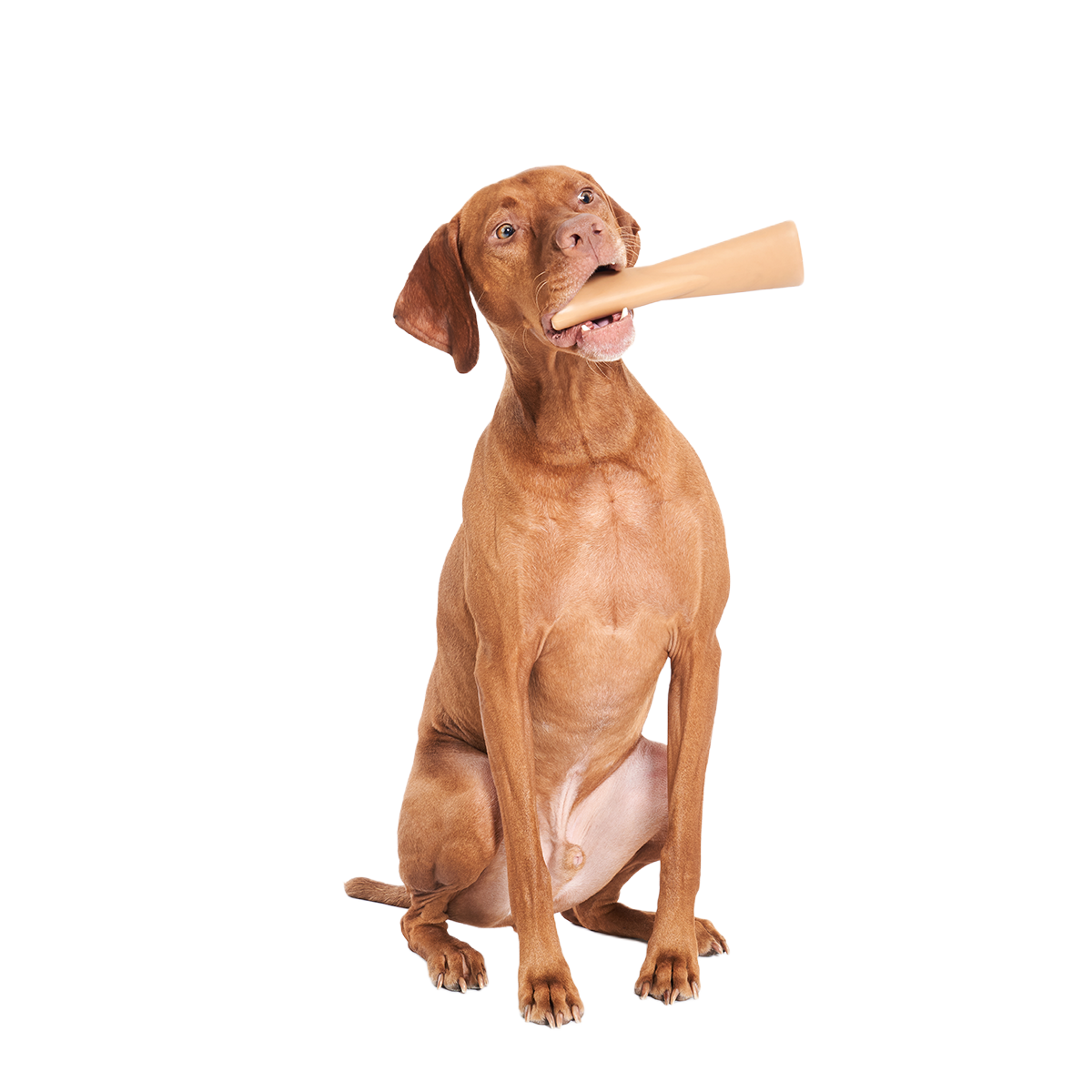 Mighty Bone Super Chewer Durable Gnaw Dog Toy - Image 5