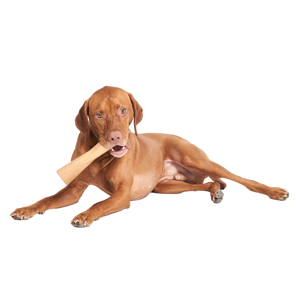 Mighty Bone Super Chewer Durable Gnaw Dog Toy - Image 3