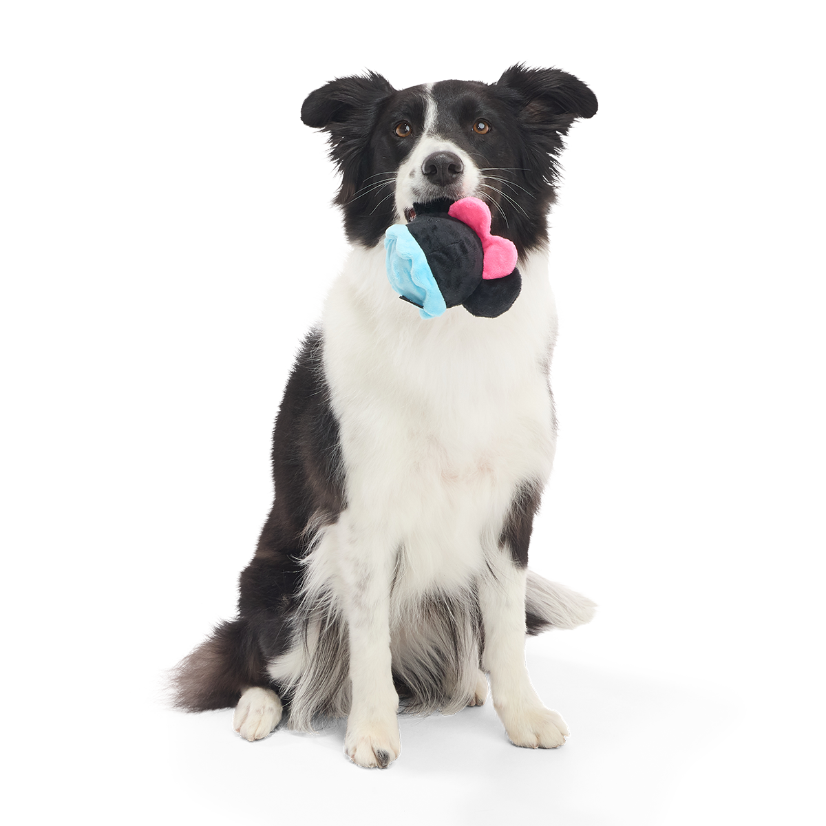 Minnie Mouse Ball Super Chewer Durable 2-in-1 + Fetch Dog Toy - Image 2