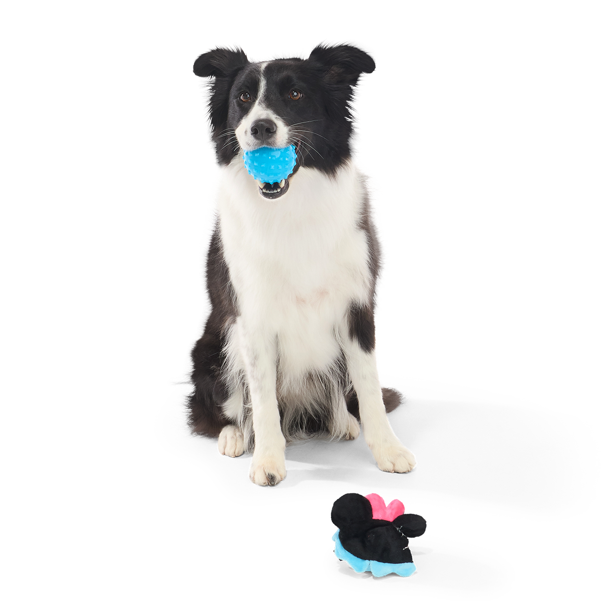 Minnie Mouse Ball Super Chewer Durable 2-in-1 + Fetch Dog Toy - Image 5