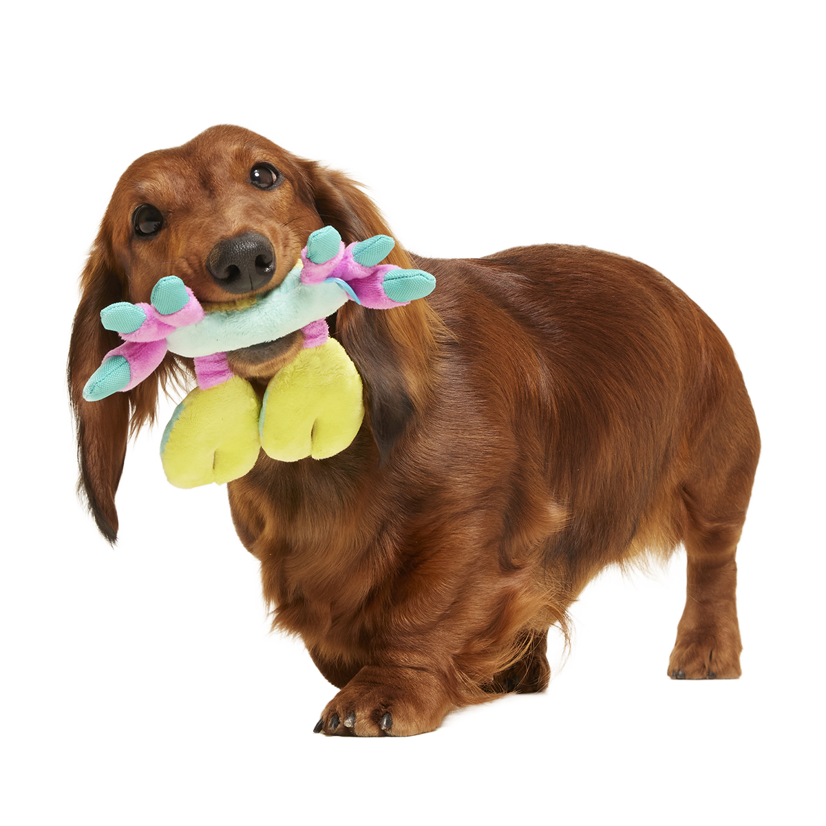 Moe The Mosaic Crab Plush Tug Dog Toy - Image 2