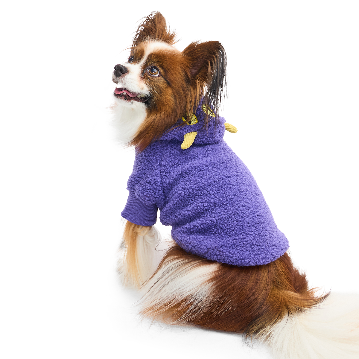 Monster Dog Hoodie - Image 3