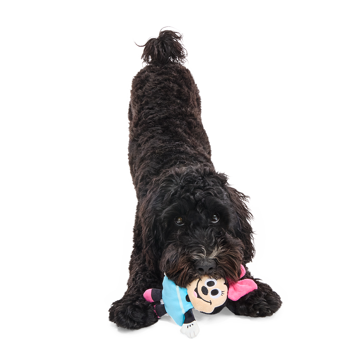 My Pal Minnie Plush Tug Dog Toy - Image 3