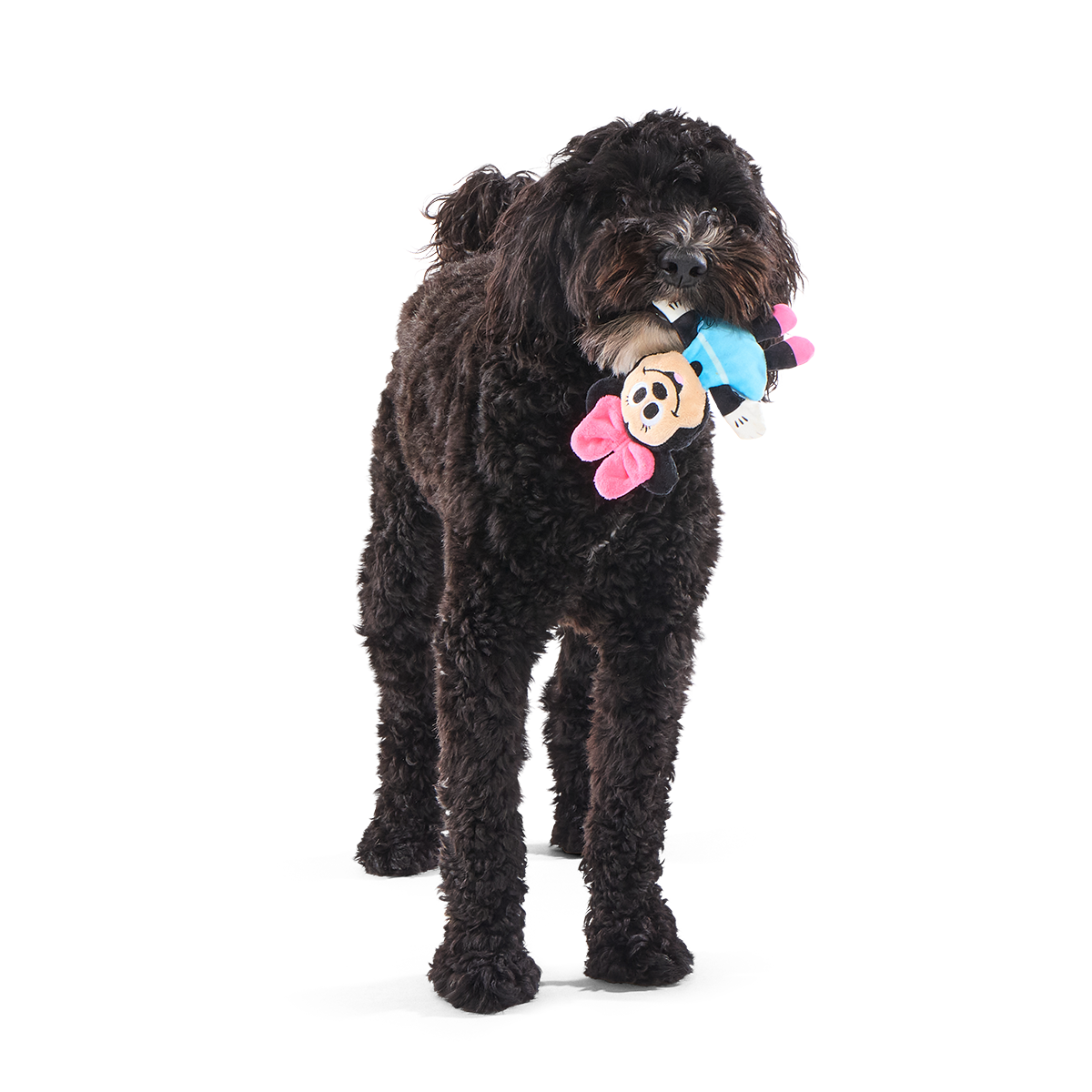 My Pal Minnie Plush Tug Dog Toy - Image 2