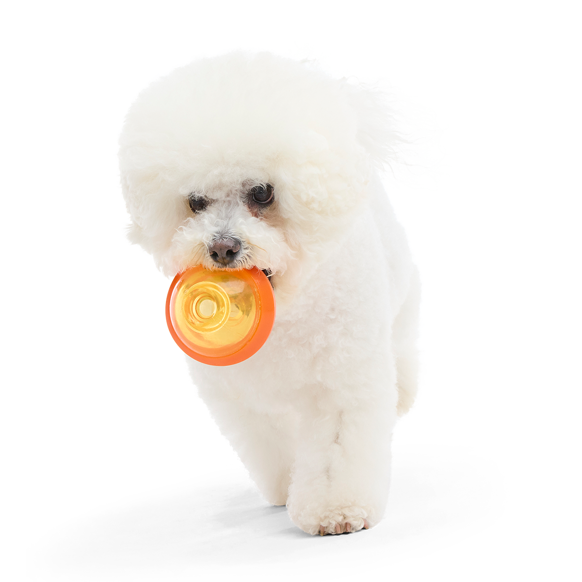 Nebula Super Chewer Durable Fetch + Enrichment Dog Toy - Image 4