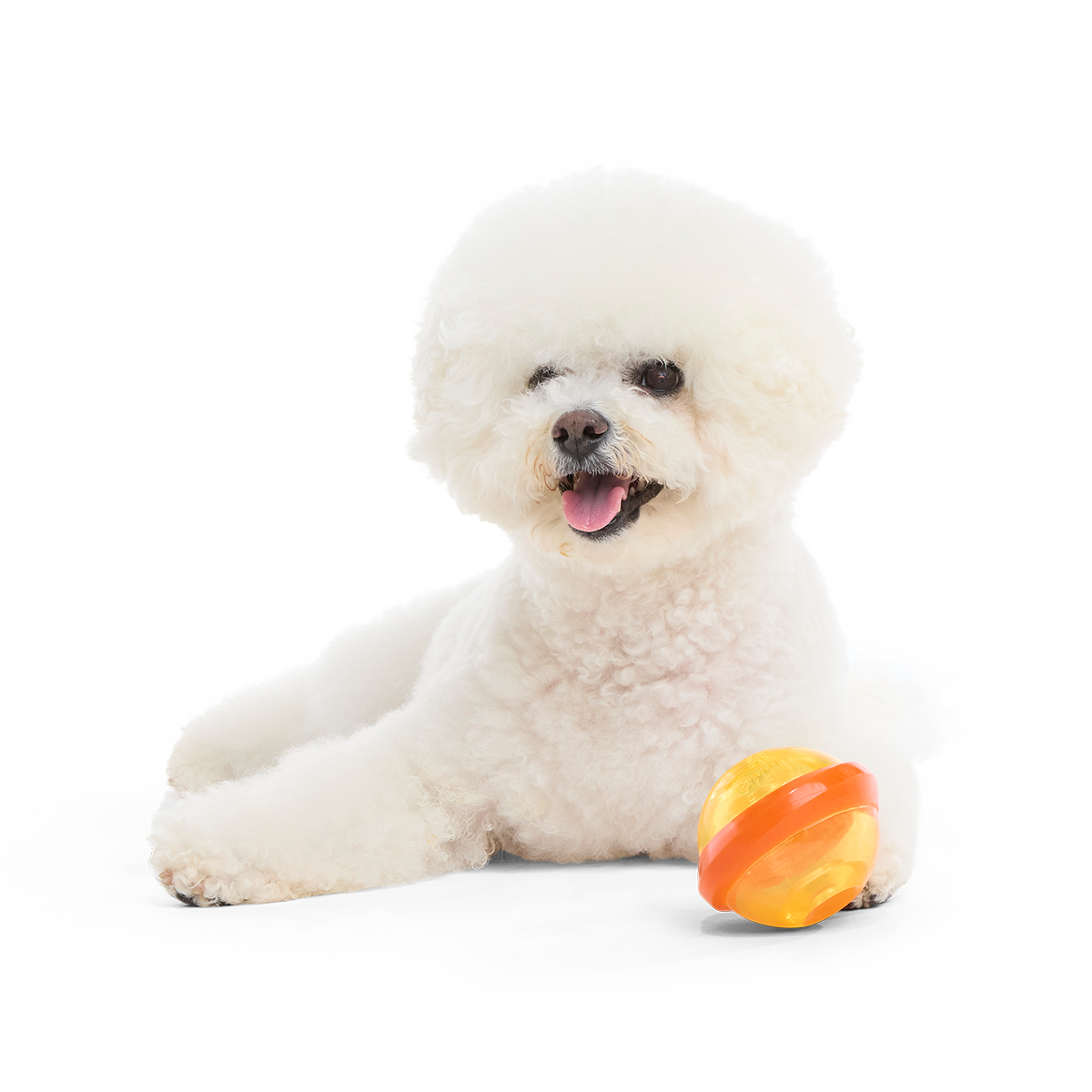 Nebula Super Chewer Durable Fetch + Enrichment Dog Toy - Image 2