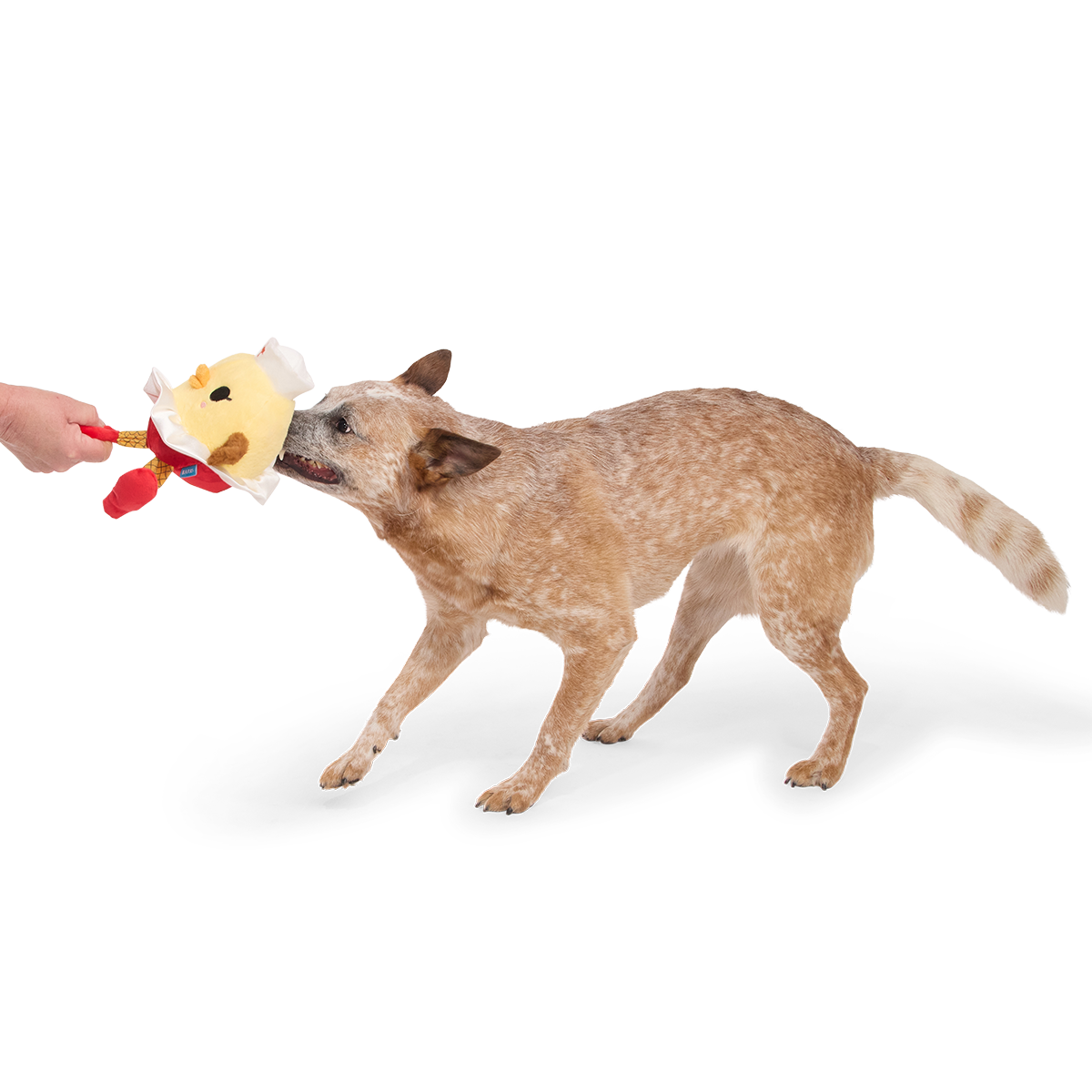 Nurse McSpicy Plush 2-in-1 + Tug Dog Toy - Image 4